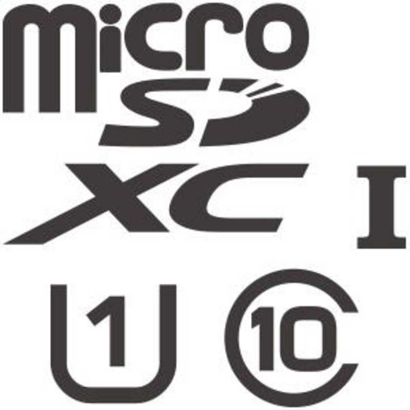 HORI　microSDHCカード for Nintendo Switch (64GB)　NSW-046