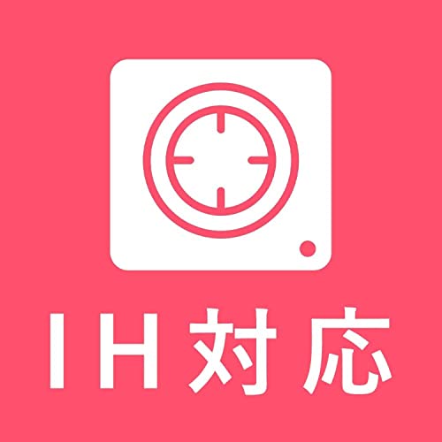 パール金属 研磨仕上げ 鍋 天ぷら鍋 角型 20cm 鉄鋳物製 IH対応 オーブン調理対応 スプラウト HB-6480