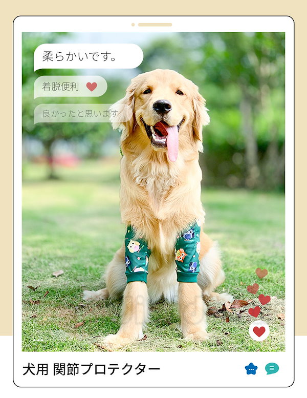 Qoo10] 中大型犬用膝サポーター 犬用 関節プロテ