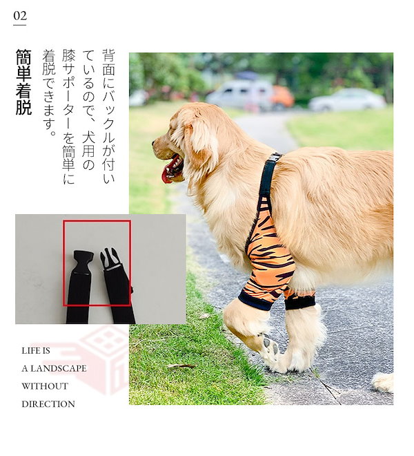 Qoo10] 中大型犬用膝サポーター 犬用 関節プロテ