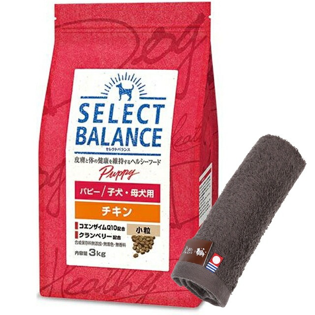 セレクトバランス パピー チキン 小粒 子犬母犬用 3kg【犬想いオリジナル今治ハンドタオルセット】【タオルカラー モカ】