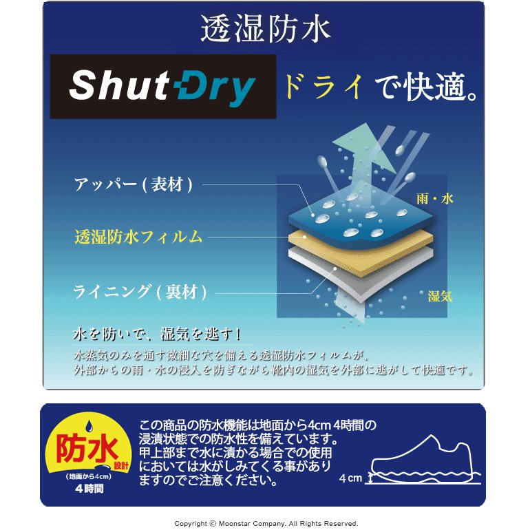 レディース ウォーキング シューズ スニーカー WL3602 ブラック 3E レディース ウォーキング シューズ スニーカー WL3602 ブラック 3E