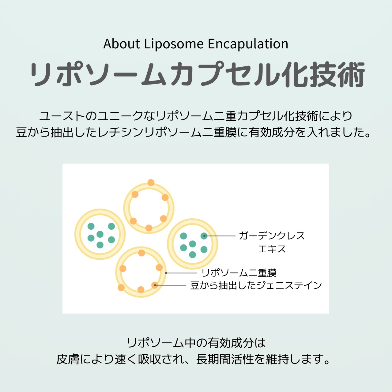 JUST(ユースト) ガーデンクレスクリーム 100mL 全身 ナチュラル ハーブクリーム 天然成分 ハーブ ガーデンクレス スキンケア ボディクリーム ハンドクリーム