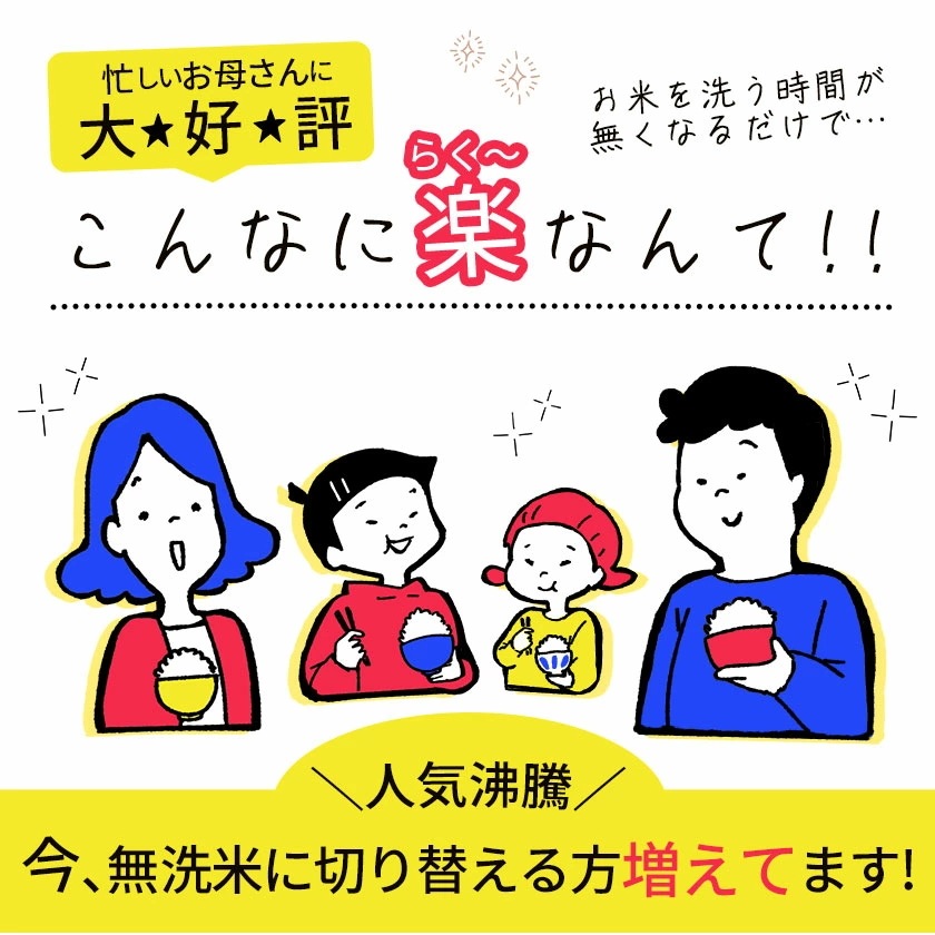 令和6年産 国産 ふるさと無洗米 10kg 送料無料 精米 国産ふるさと無洗米 非常食 保存食