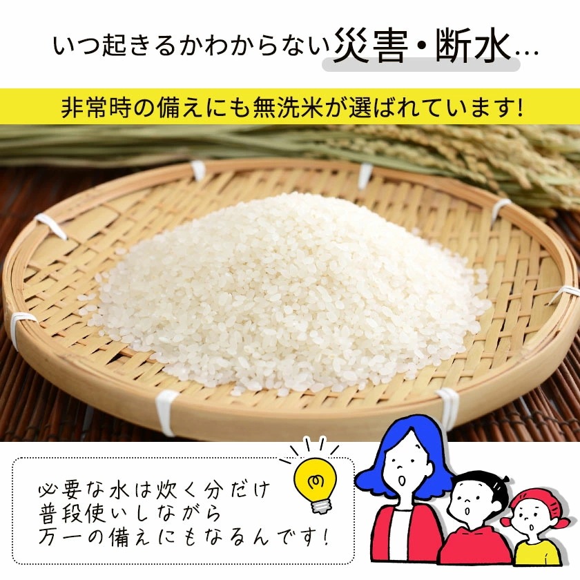 令和6年産 国産 ふるさと無洗米 10kg 送料無料 精米 国産ふるさと無洗米 非常食 保存食