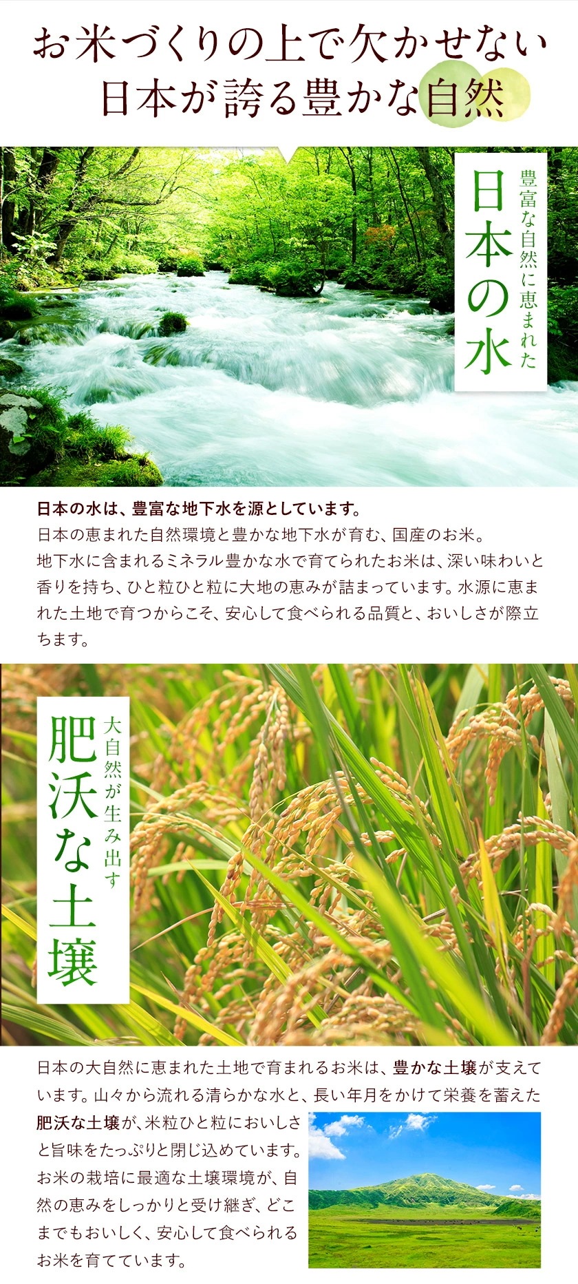 令和6年産 国産 ふるさと無洗米 10kg 送料無料 精米 国産ふるさと無洗米 非常食 保存食