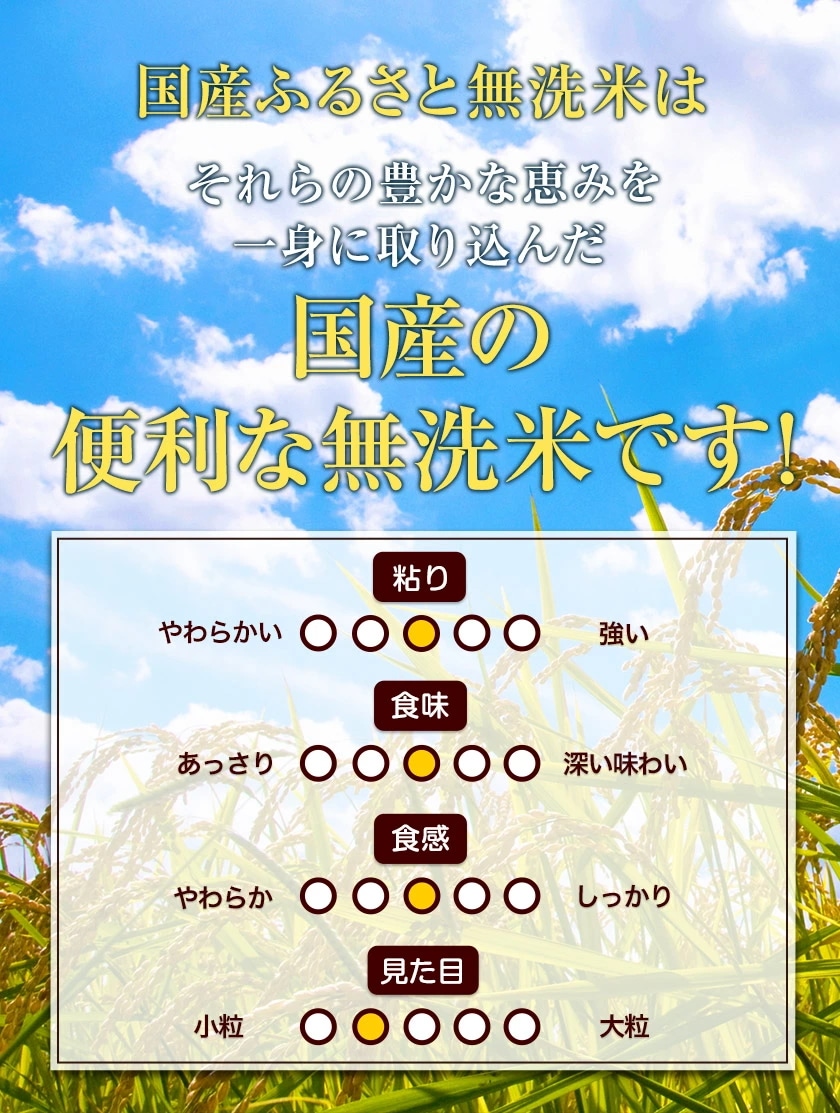 令和6年産 国産 ふるさと無洗米 10kg 送料無料 精米 国産ふるさと無洗米 非常食 保存食