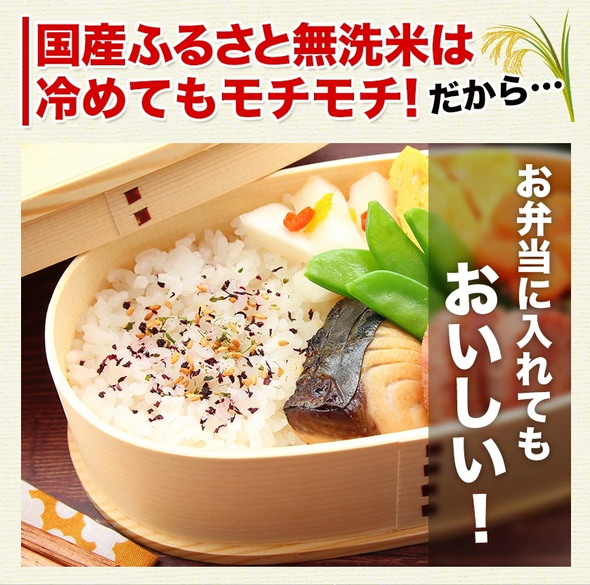 令和6年産 国産 ふるさと無洗米 10kg 送料無料 精米 国産ふるさと無洗米 非常食 保存食