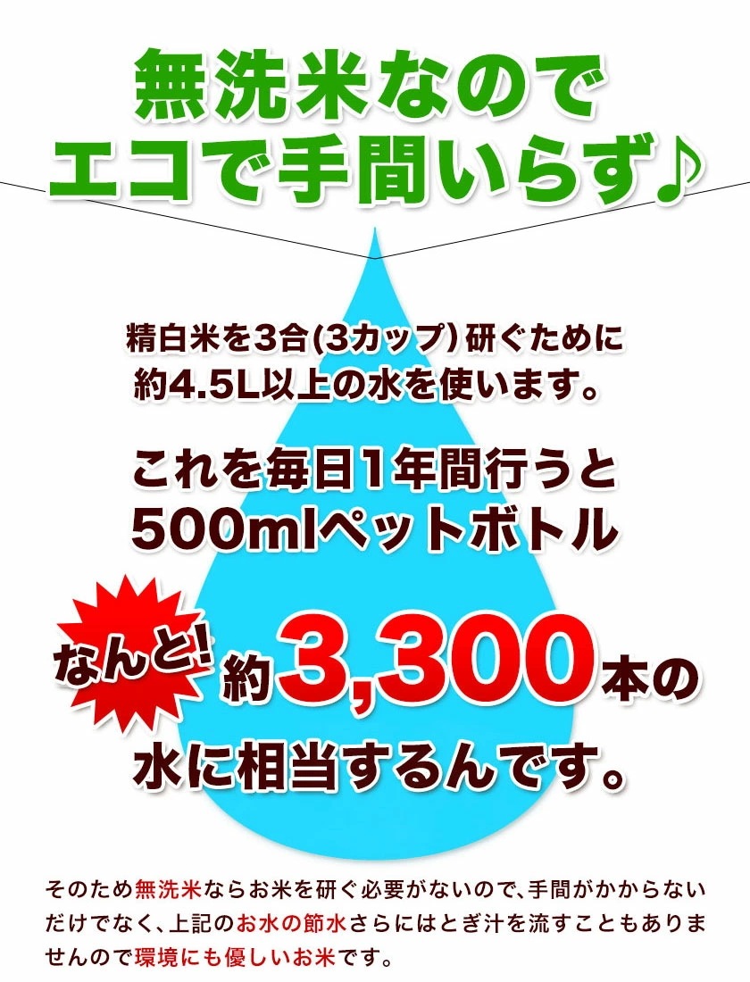 令和6年産 国産 ふるさと無洗米 10kg 送料無料 精米 国産ふるさと無洗米 非常食 保存食