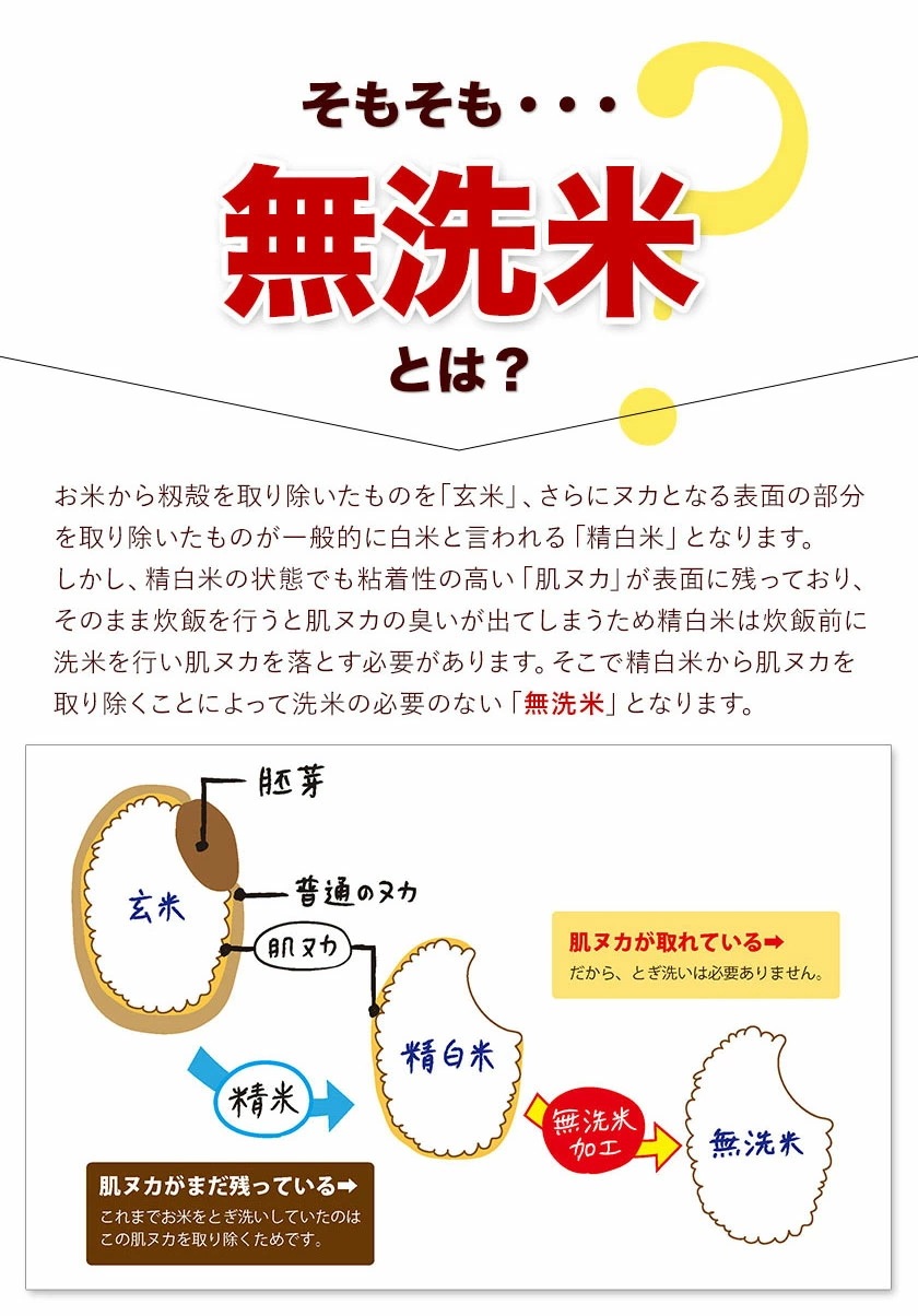 令和6年産 国産 ふるさと無洗米 10kg 送料無料 精米 国産ふるさと無洗米 非常食 保存食
