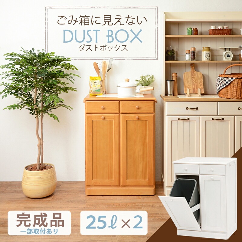 ごみ箱に見えないダストボックス [ts120862] 2分別タイプ 容量25Lx2 ホワイトウォッシュ