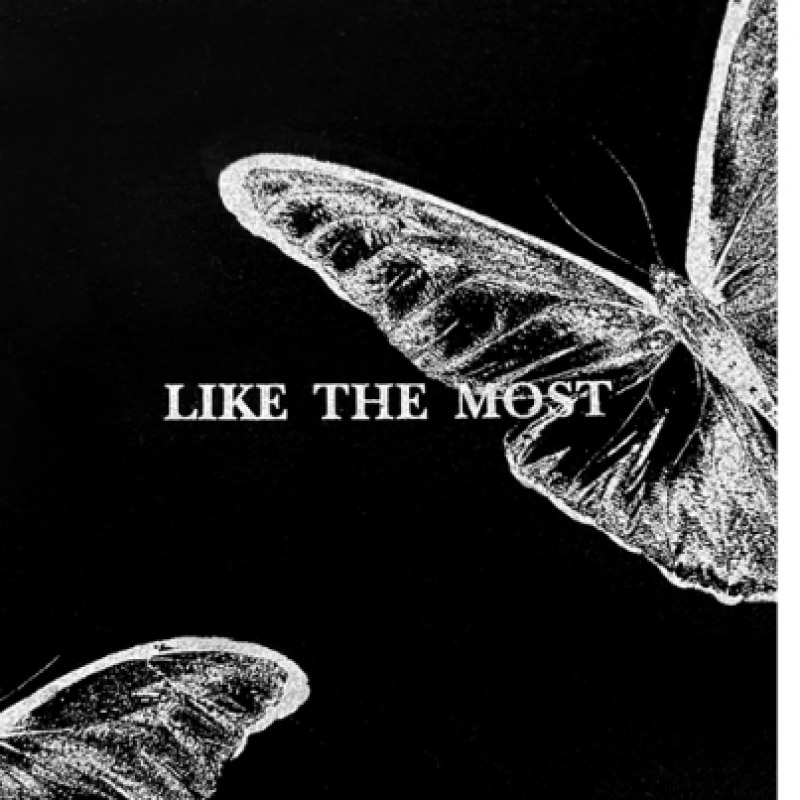 ライクザモストX線グラフィックバタフライオーバーパーカー [ホワイトメランジ]