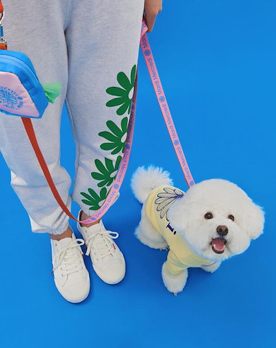 Mardi Mercredi 犬イラスト スウェット Qoo10] 【無料配送