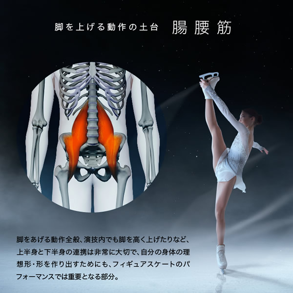 小塚崇彦のトリプルアシストスパッツ (送料無料) スパッツ 骨盤 ガードル 補整 着圧 レギンス 骨盤 股関節 サポーター インナー 女性 レディース 小塚崇彦のトリプルアシストスパッツ (送料無料) スパッツ 骨盤 ガードル 補整 着圧 レギンス 骨盤 股関節 サポーター インナー 女性 レディース