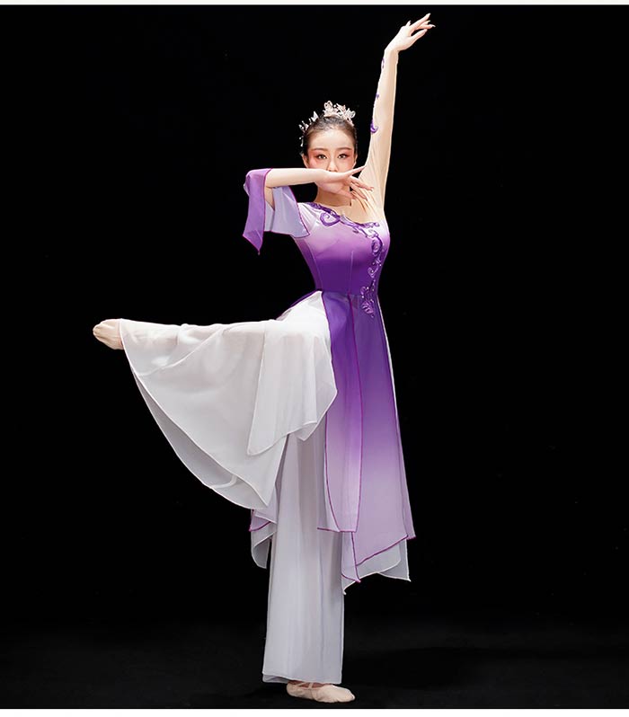 【2025限定SALE】古典ダンス衣装 レディース エスニック風 ステージ衣装 グラデーション ダンス衣装 ロングトップス ワイドパンツ 上下2点セット 中国古典舞踊ダンス衣装 ふんわり 中華風 ダン 【2025限定SALE】古典ダンス衣装 レディース エスニック風 ステージ衣装 グラデーション ダンス衣装 ロングトップス ワイドパンツ 上下2点セット 中国古典舞踊ダンス衣装 ふんわり 中華風 ダン