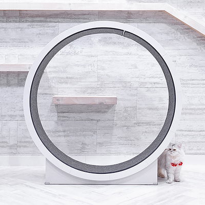 Qoo10] WOODADA キャットホイール 猫用回し車猫 回転車猫 : 猫用品