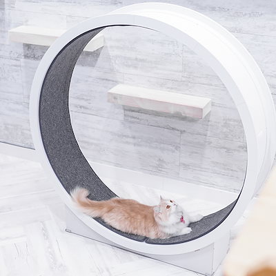 組立済　Woodada キャットホイール ウダダキャットホイール (woodada cat wheel)
