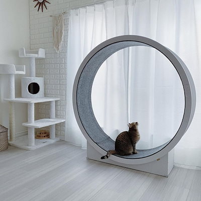 Qoo10] WOODADA キャットホイール 猫用回し車猫 回転車猫 : 猫用品