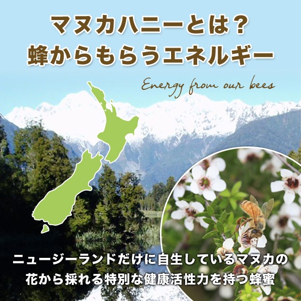 マヌカハニー MGO 50+ マルチフローラル 500g 2本セット ニュージーランド産 蜂蜜 無添加 非加熱 天然生はちみつ