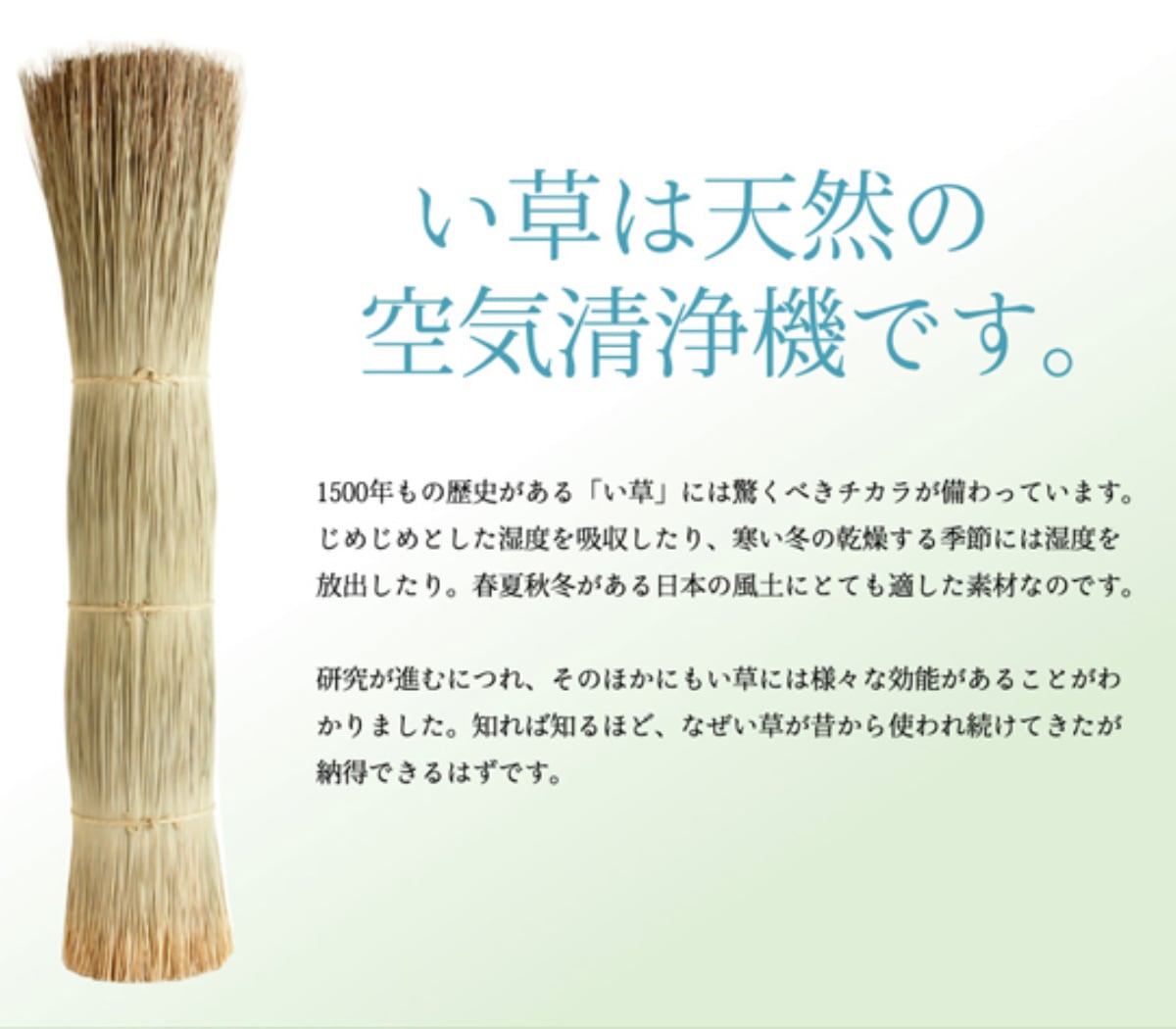 ラグ い草 純国産 い草ラグカーペット Fブロック2 約191x191cm 裏貼り加工 カーペット 敷物 ラグマット い草マット い草カーペット 絨毯 ござ センターラグ 正方形 コンパクト ラグ い草 純国産 い草ラグカーペット Fブロック2 約191x191cm 裏貼り加工 カーペット 敷物 ラグマット い草マット い草カーペット 絨毯 ござ センターラグ 正方形 コンパクト