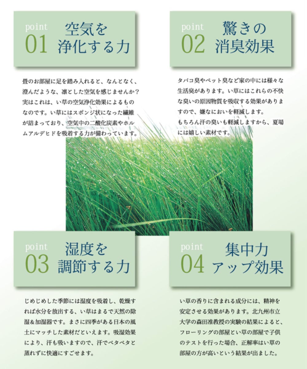 ラグ い草 純国産 い草ラグカーペット Fブロック2 約191x191cm 裏貼り加工 カーペット 敷物 ラグマット い草マット い草カーペット 絨毯 ござ センターラグ 正方形 コンパクト ラグ い草 純国産 い草ラグカーペット Fブロック2 約191x191cm 裏貼り加工 カーペット 敷物 ラグマット い草マット い草カーペット 絨毯 ござ センターラグ 正方形 コンパクト