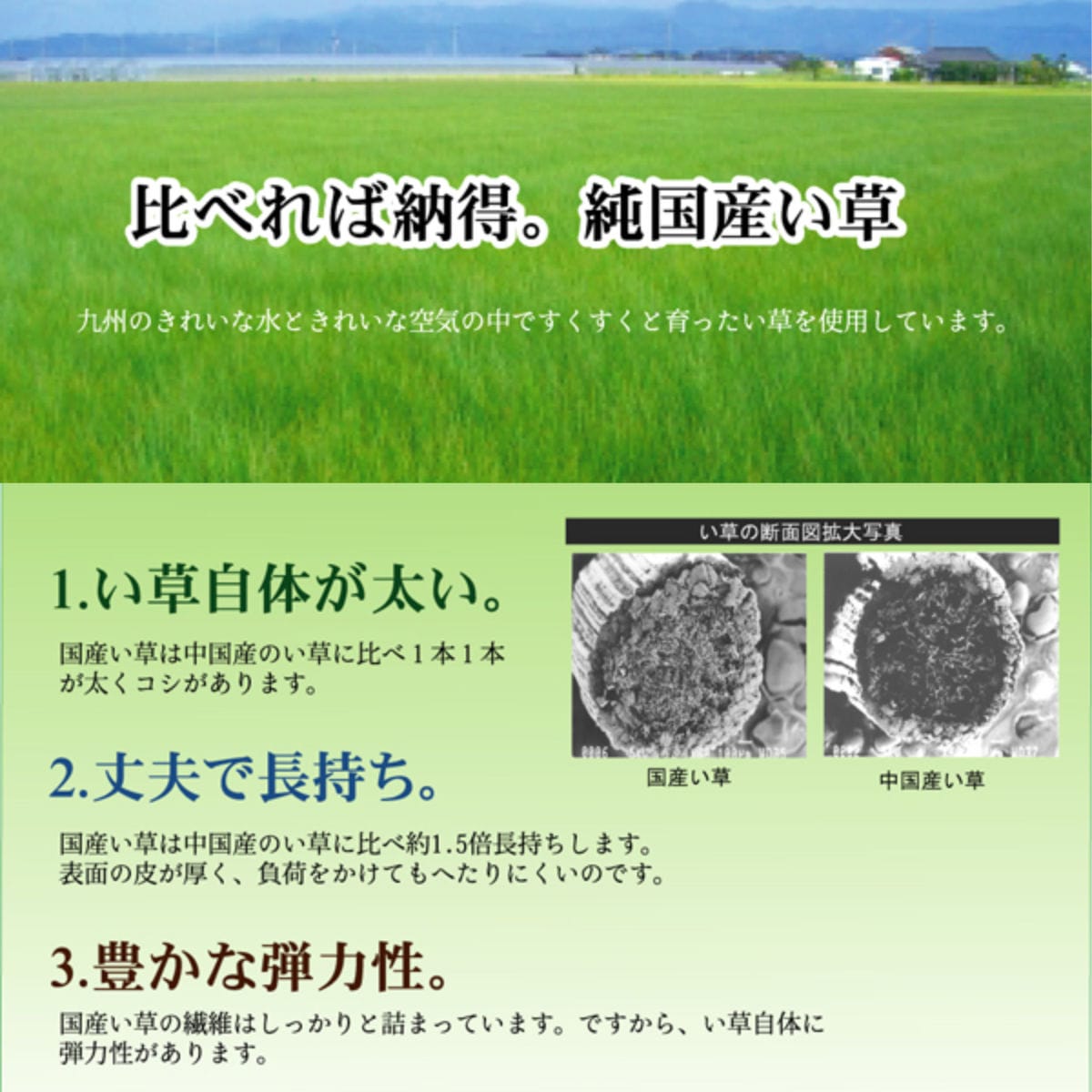 ラグ い草 純国産 い草ラグカーペット Fブロック2 約191x191cm 裏貼り加工 カーペット 敷物 ラグマット い草マット い草カーペット 絨毯 ござ センターラグ 正方形 コンパクト ラグ い草 純国産 い草ラグカーペット Fブロック2 約191x191cm 裏貼り加工 カーペット 敷物 ラグマット い草マット い草カーペット 絨毯 ござ センターラグ 正方形 コンパクト