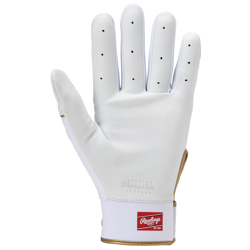 Pro Preferred バッティンググラブ 25SS PPBG