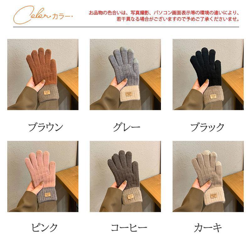手袋 グローブ レディース 裏起毛 手ぶくろ 防寒グローブ あったか 冬 スポーツ ハイキング 自転車用 釣り 暖かい 通勤 通学
