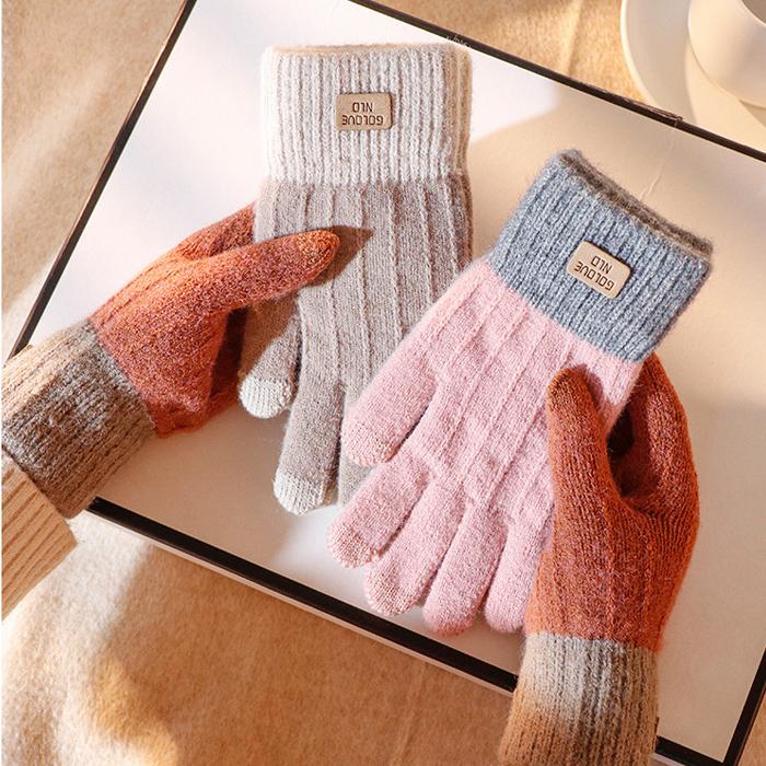 手袋 グローブ レディース 裏起毛 手ぶくろ 防寒グローブ あったか 冬 スポーツ ハイキング 自転車用 釣り 暖かい 通勤 通学