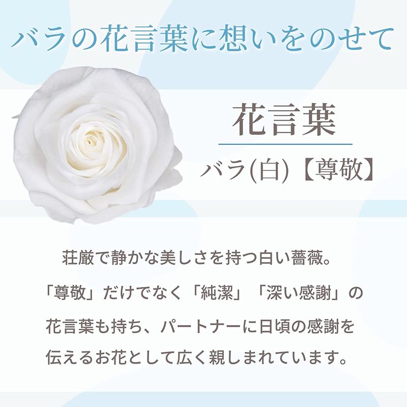 ガラスの靴 プリザーブドフラワー フラワーギフト クリスマス 最高級 枯れない 誕生日プレゼント 薔薇 花