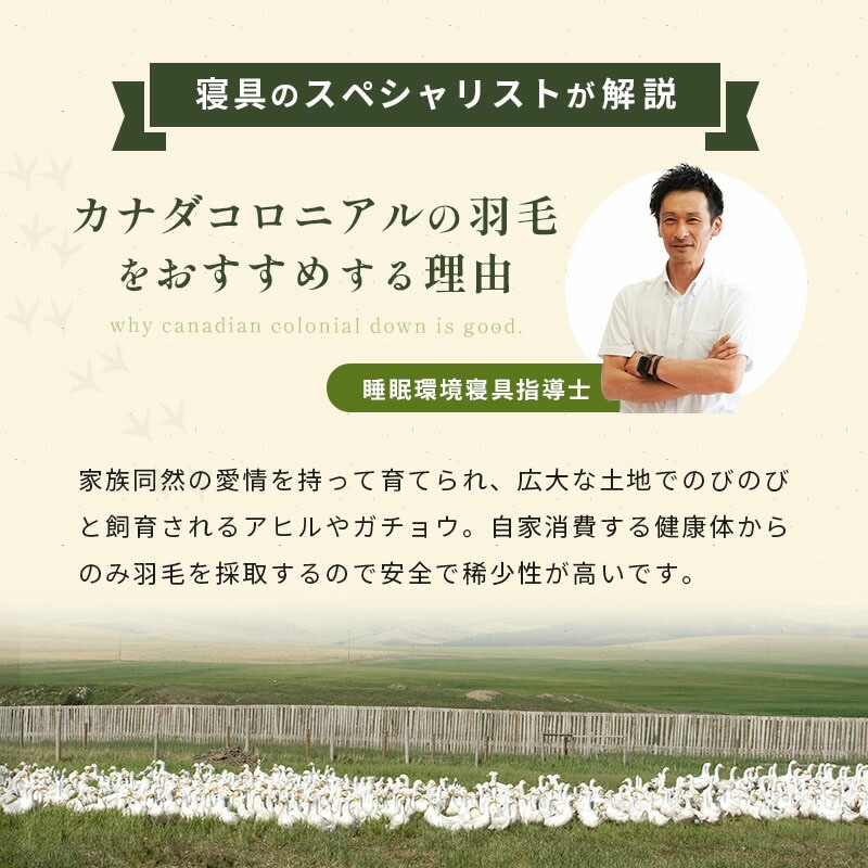 羽毛布団 シングルロング プレミアムダックダウン95% 150X210cm 完全立体キルト 京都職人の羽毛布団 増量1.3kg 440dp以上 日本製 京都羽毛 3SA-2