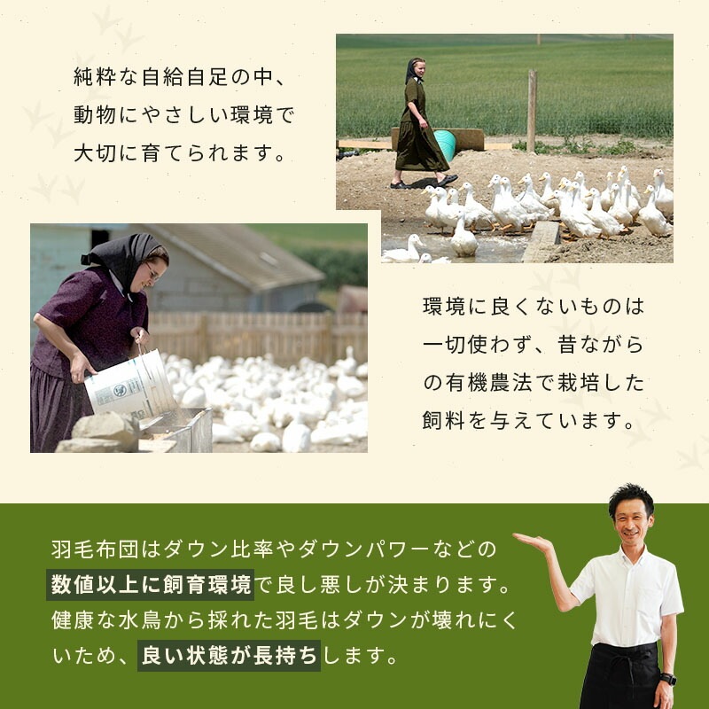 羽毛布団 シングルロング プレミアムダックダウン95% 150X210cm 完全立体キルト 京都職人の羽毛布団 増量1.3kg 440dp以上 日本製 京都羽毛 3SA-2