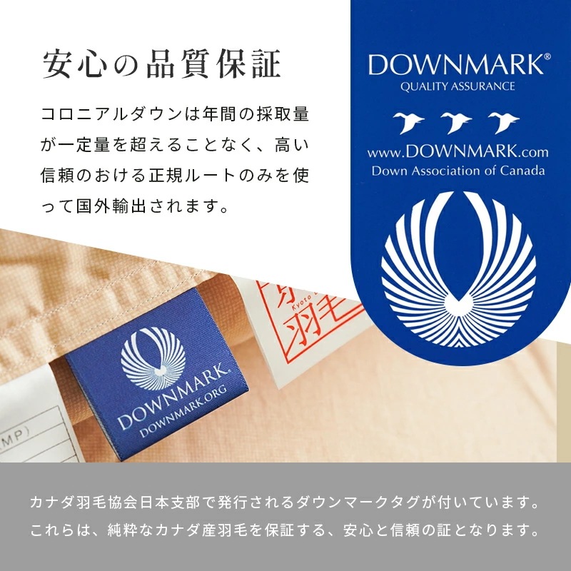 羽毛布団 シングルロング プレミアムダックダウン95% 150X210cm 完全立体キルト 京都職人の羽毛布団 増量1.3kg 440dp以上 日本製 京都羽毛 3SA-2