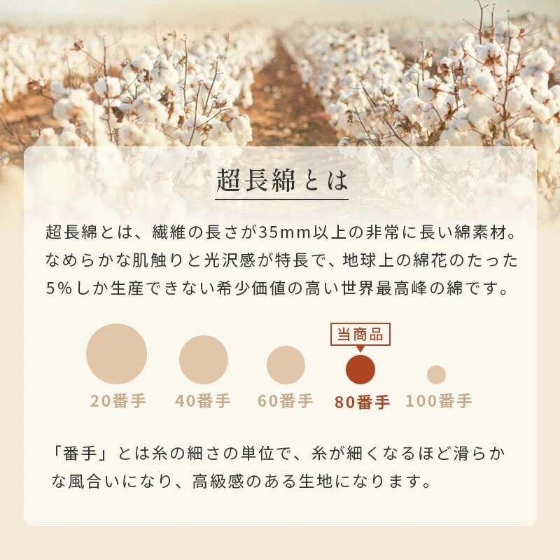 羽毛布団 シングルロング プレミアムダックダウン95% 150X210cm 完全立体キルト 京都職人の羽毛布団 増量1.3kg 440dp以上 日本製 京都羽毛 3SA-2