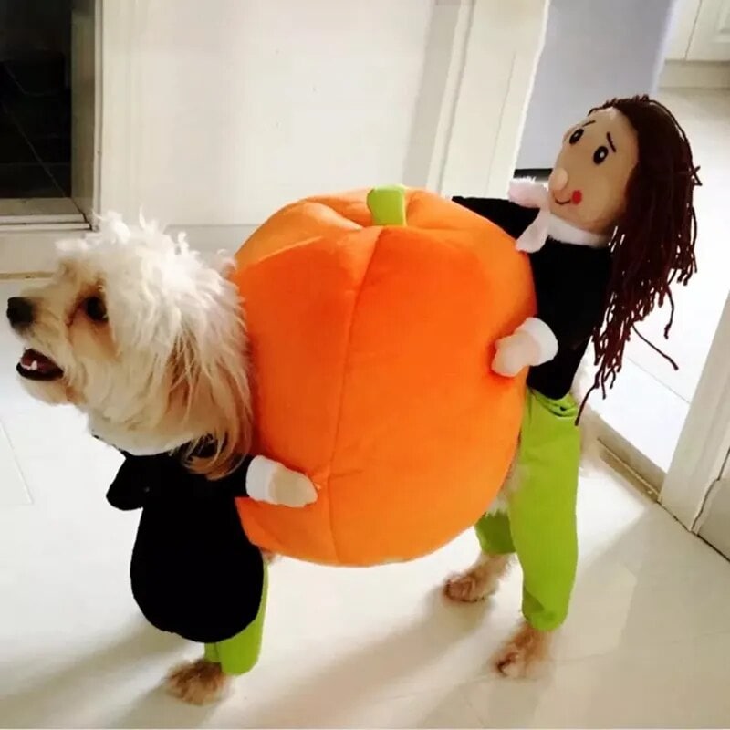 ハロウィーンの犬のコスプレ衣装セット面白いペットの服猫のためのコニカルアウト子犬のパーティー服 Style2700 XL