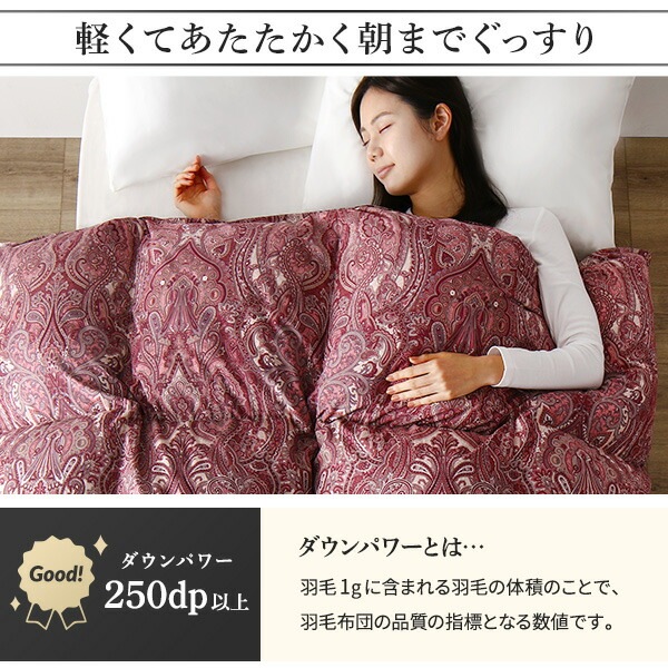 羽毛布団 シングル アイボリー ダウン50% 250dp パワーアップ加工 抗菌 防臭 防ダニ 国産