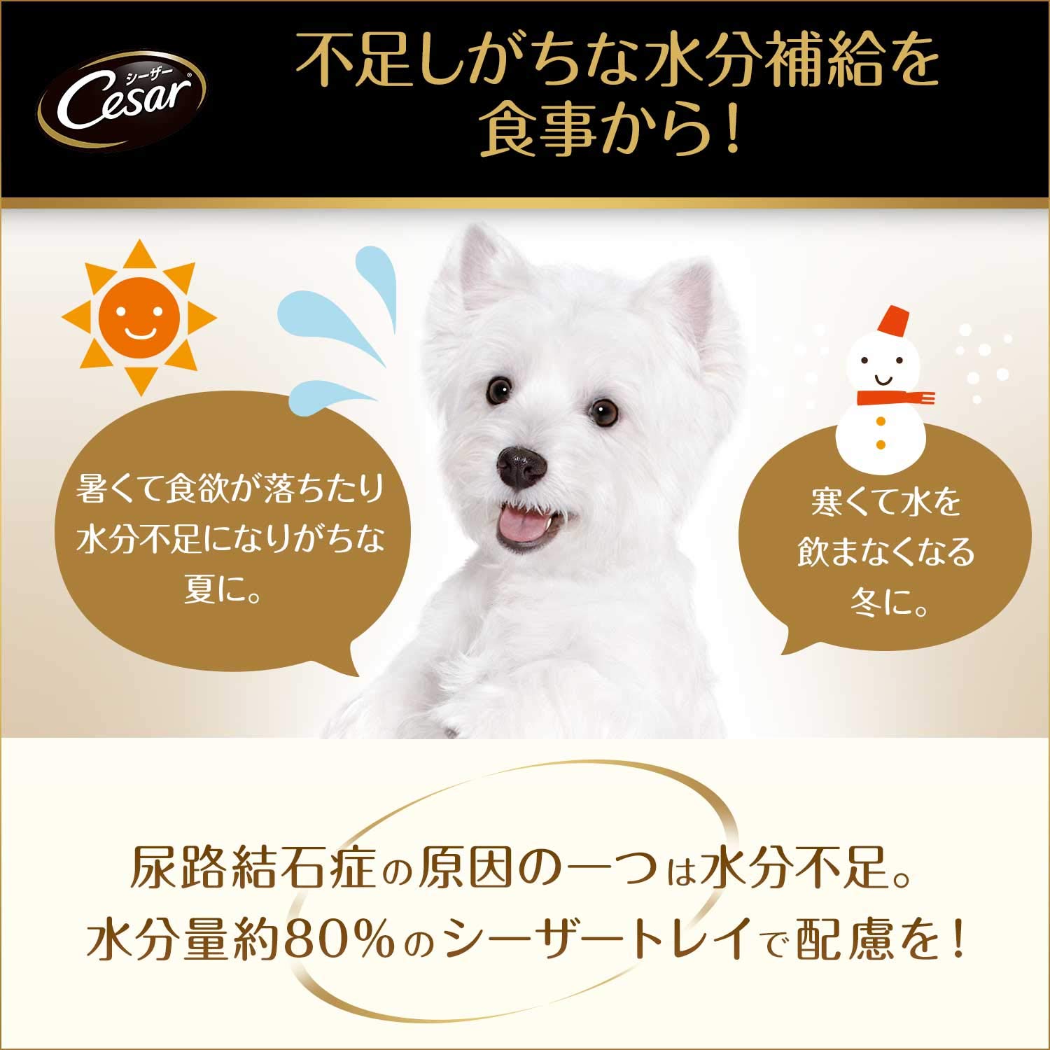 シーザー 成犬用 吟選ビーフ 100g×24個 (まとめ買い) [ドッグフード・ウェット]