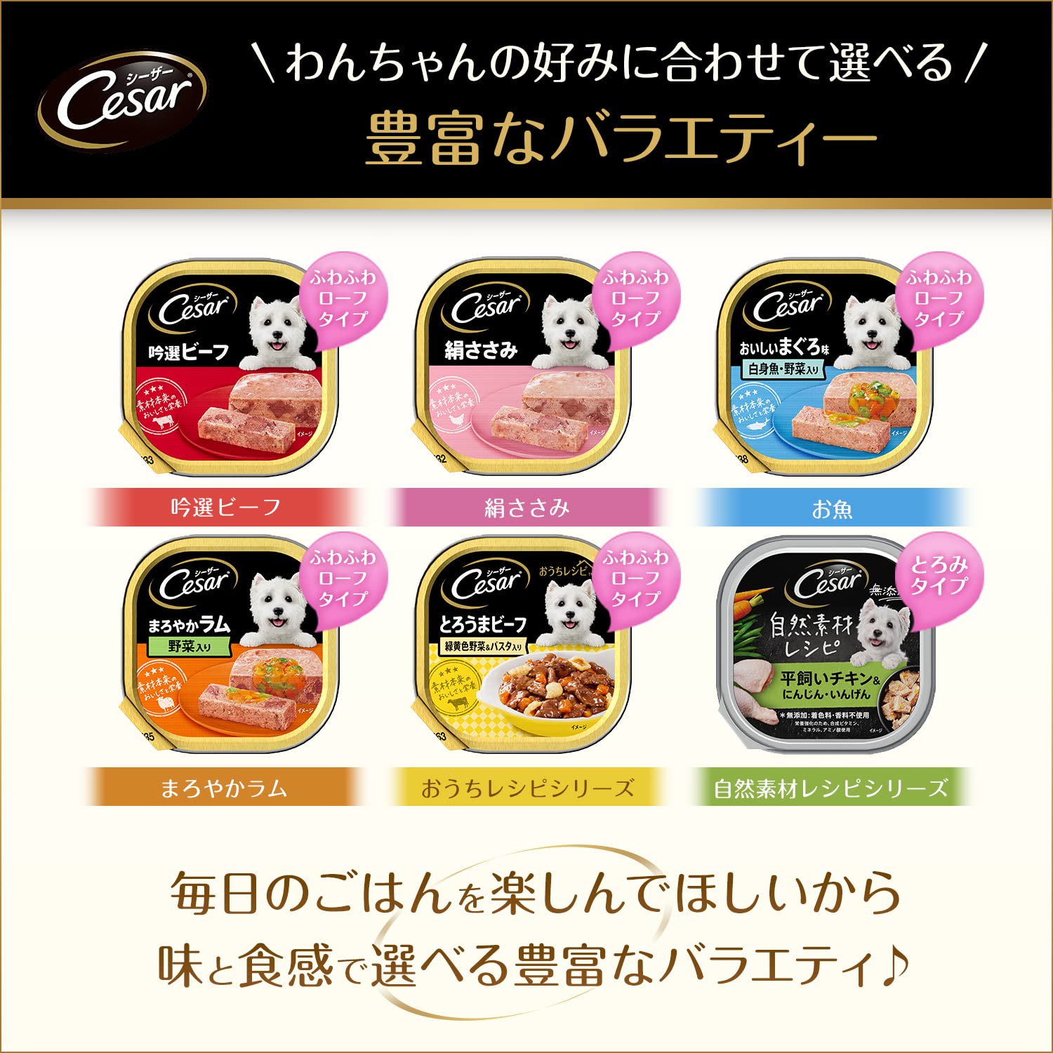 シーザー 成犬用 吟選ビーフ 100g×24個 (まとめ買い) [ドッグフード・ウェット]