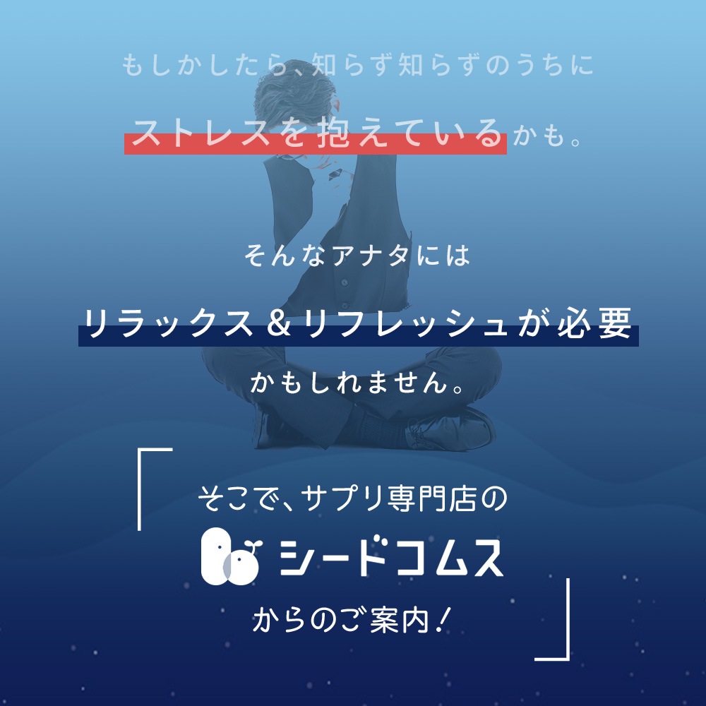 GABA ギャバ　約６ヶ月分