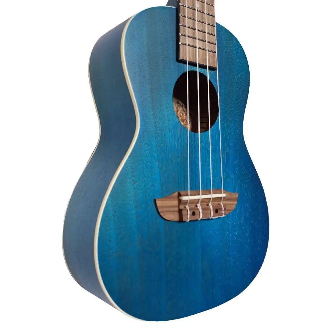 ORTEGA EARTHシリーズ RUOCEAN コンサートウクレレ