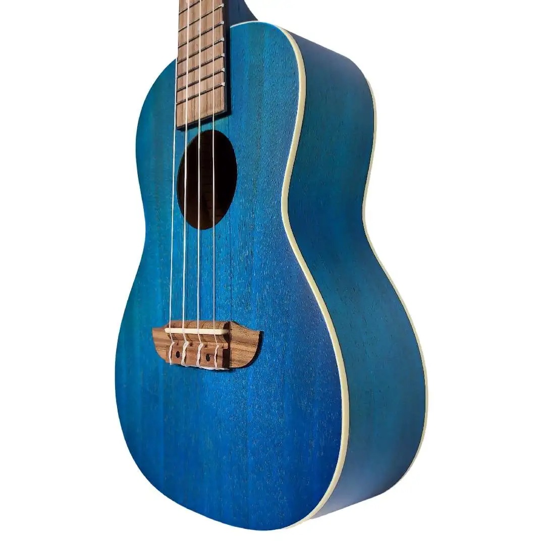 ORTEGA EARTHシリーズ RUOCEAN コンサートウクレレ
