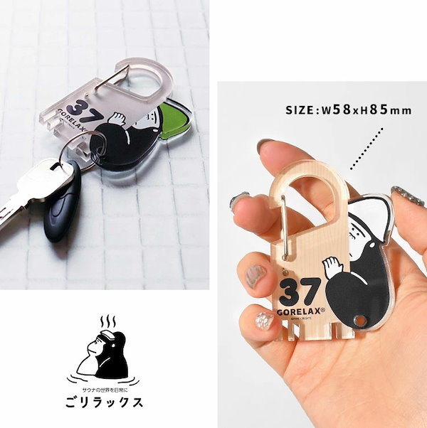 ARC'TERYX - GORE-TEX ケース＋カラビナキーホルダーの通販 by