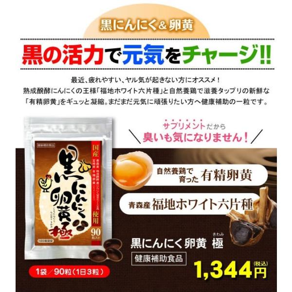 【送料無料】黒にんにく卵黄 極 90粒入１０袋セット 更にもう１袋プレゼント！！ 人気のにんにく卵黄が90粒でお買い得 にんにく卵黄 にんにく