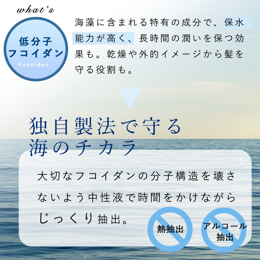 Qoo10] maumi maumi shampoo（マウミ シャ