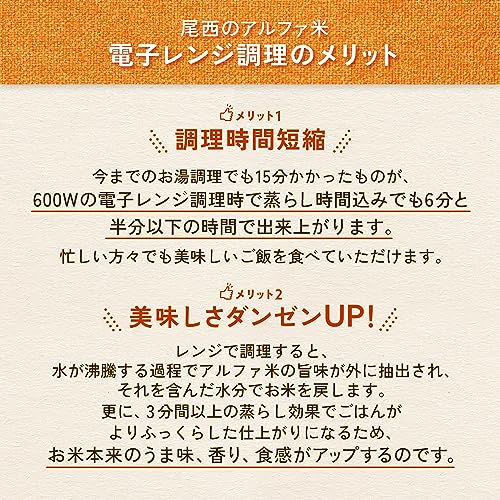 尾西食品 アルファ米 レンジプラス ドライカレー 80g×20袋 レンジ調理対応 非常食 保存食 長期保存 尾西食品 アルファ米 レンジプラス ドライカレー 80g×20袋 レンジ調理対応 非常食 保存食 長期保存