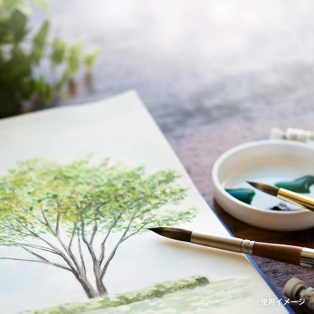 （まとめ買い）スケッチブック ヴィフアール水彩紙 F6 細目 15枚 S36VA [x3]