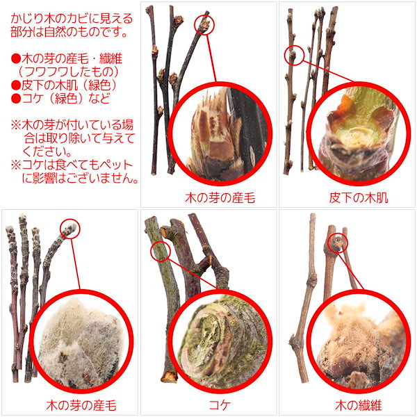 Qoo10] かじり木 国産 りんごの木 極細枝 40