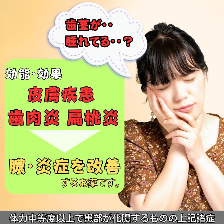 【第2類医薬品】 排膿散エキス錠Ｊ 126錠X10個セット はいのうさん 排膿散 歯肉炎 扁桃炎 化膿でお困りの方に 膿 炎症 化膿 排膿