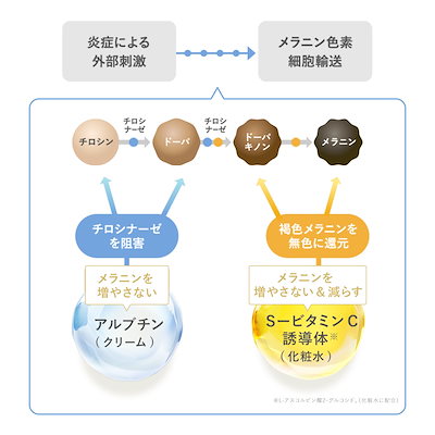 Qoo10] SHIRORU スキンケアセット ( 美白化粧水100m : スキンケア