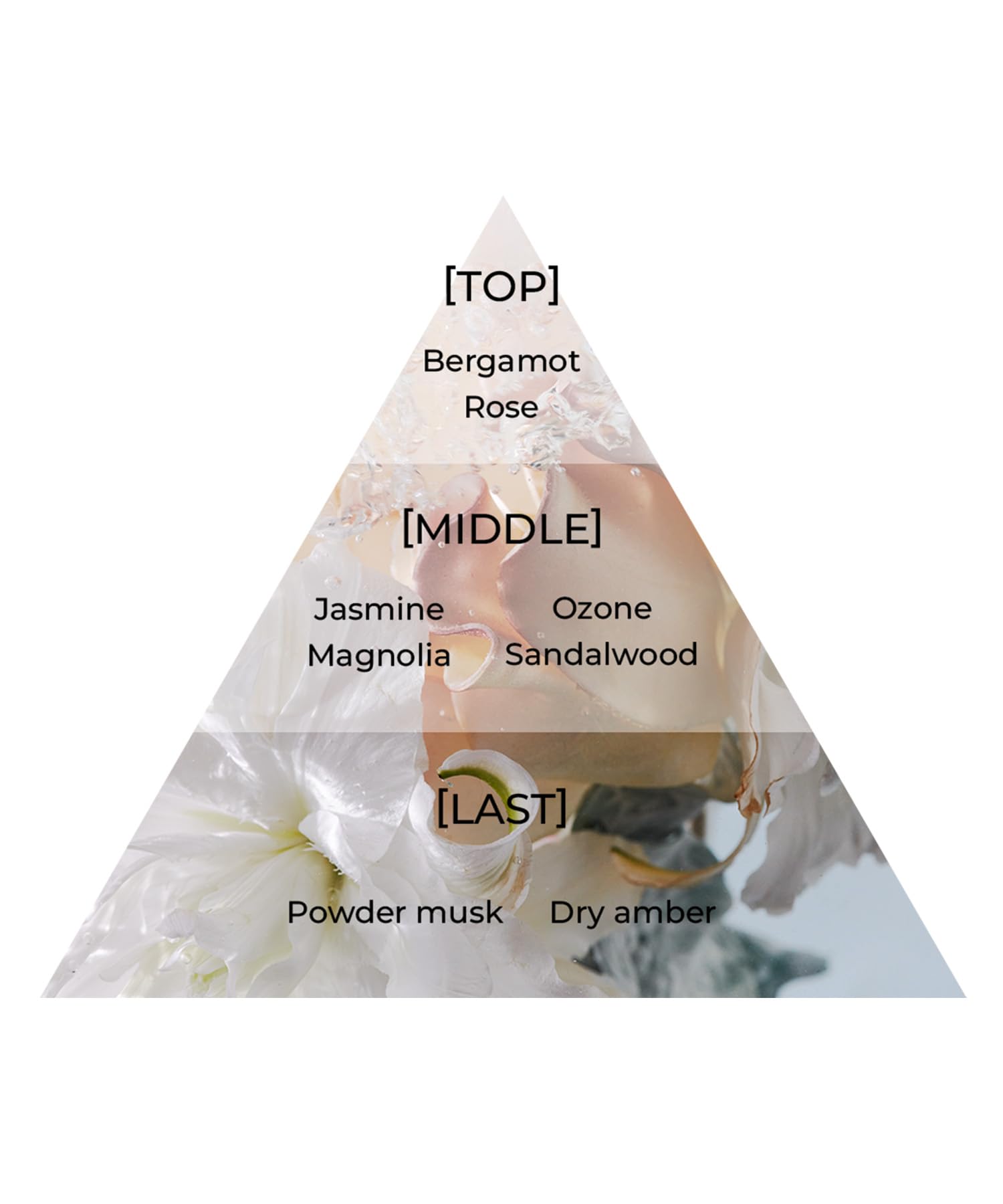 Aiam アイアム 香水 chapter チャプター8 フローラルアンバー(8ｍL)